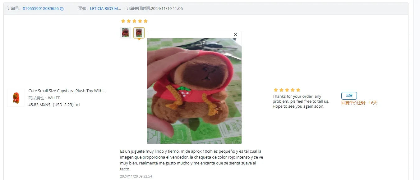 Cute Small Size Capybara Plush Toy With Wings Hoodie Simulation Capybara Doll Fluffty Toy Birthday Gifts