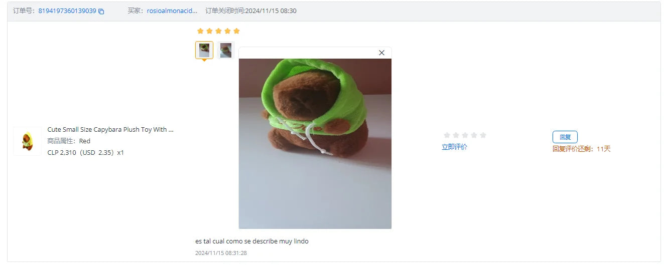 Cute Small Size Capybara Plush Toy With Wings Hoodie Simulation Capybara Doll Fluffty Toy Birthday Gifts