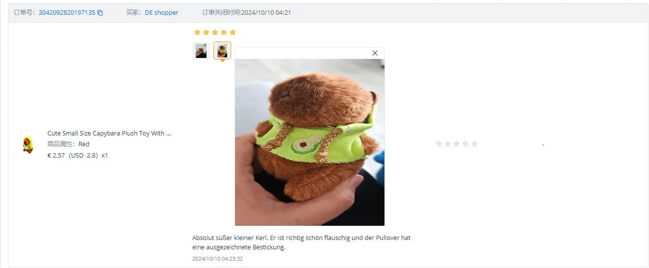 Cute Small Size Capybara Plush Toy With Wings Hoodie Simulation Capybara Doll Fluffty Toy Birthday Gifts